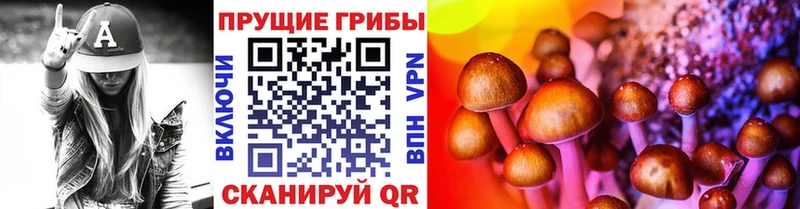 Псилоцибиновые грибы Magic Shrooms  даркнет сайт  Знаменск 