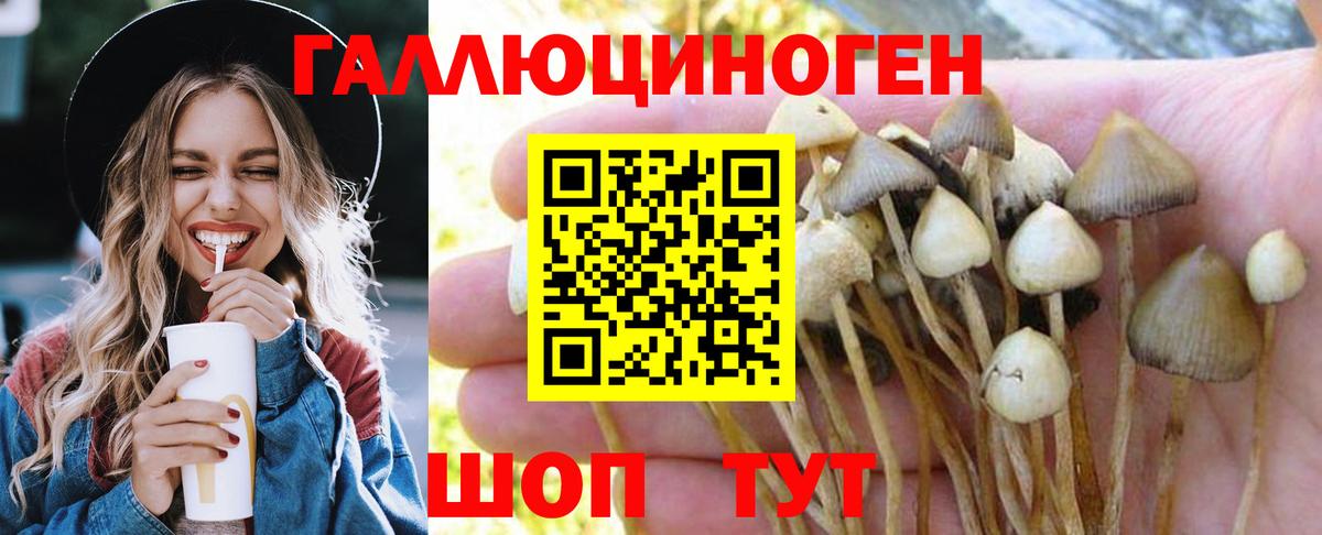 Знаменск  Галлюциногенные грибы GOLDEN TEACHER  цены наркотик  Вход с VPN  Псилоцибиновые грибы прущие грибы 
